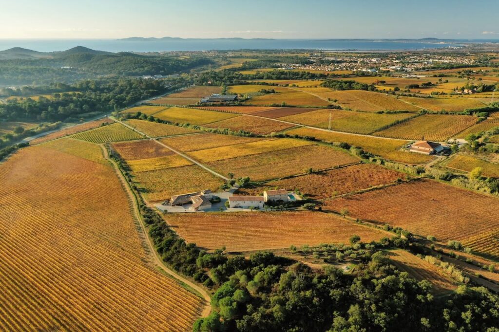 Aerial view of the Valetanne vineyards with the sea in the distance
